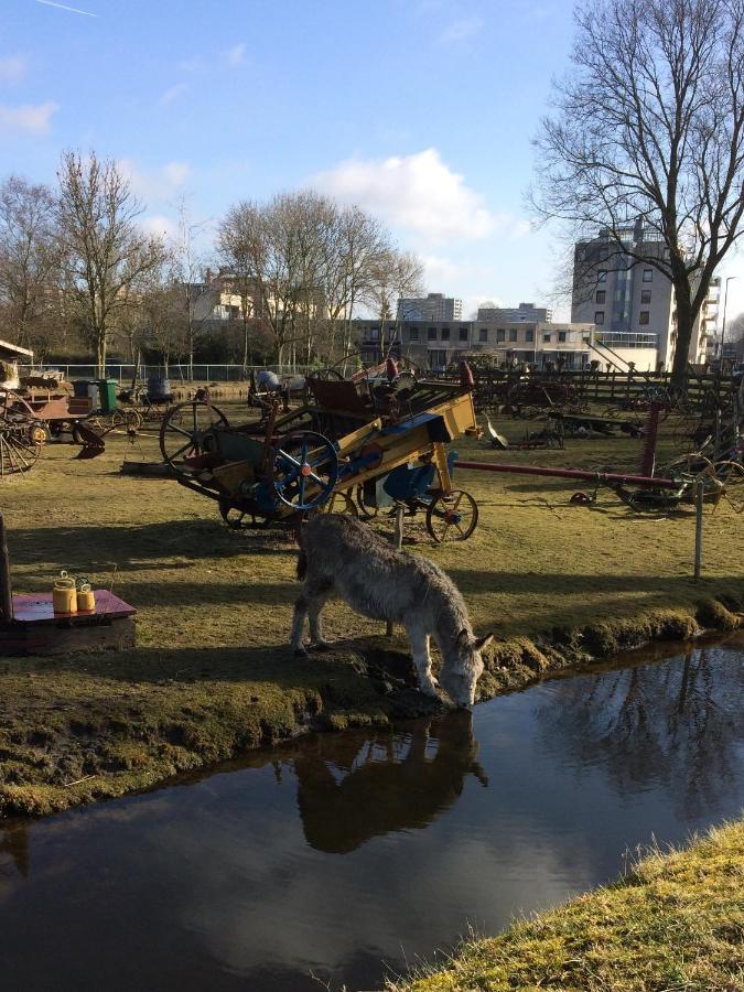 49 Alojamento de Acomodação e Pequeno-almoço Haarlem